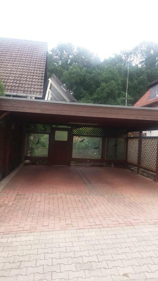שטאדטהאגן Ferienwohnung Im Waldwinkel מראה חיצוני תמונה